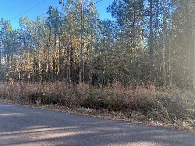 2nd image of 0 Duncan Rd