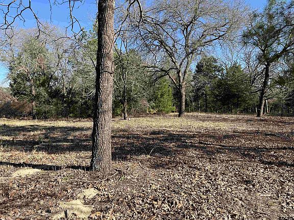 2nd image of 22853 County Road 4142