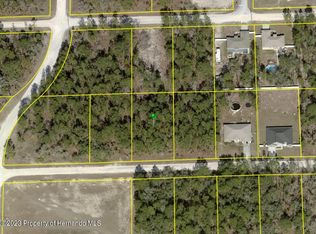 13101 Trapper John Rd, Brooksville, FL 34614