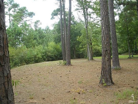 4th image of 2716 Cedar Crest Dr