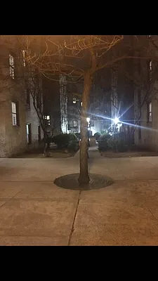 Rented by 718 Realty Inc | media 8