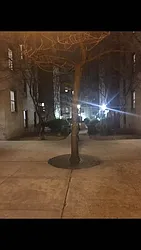 Rented by 718 Realty Inc