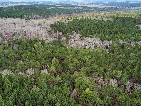 4th image of 0 Chappells Hwy