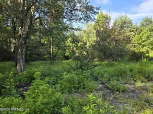 4868 McAllister Rd, Middleburg, FL 32068