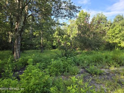 4868 MCALLISTER Road, Middleburg, FL, 32068