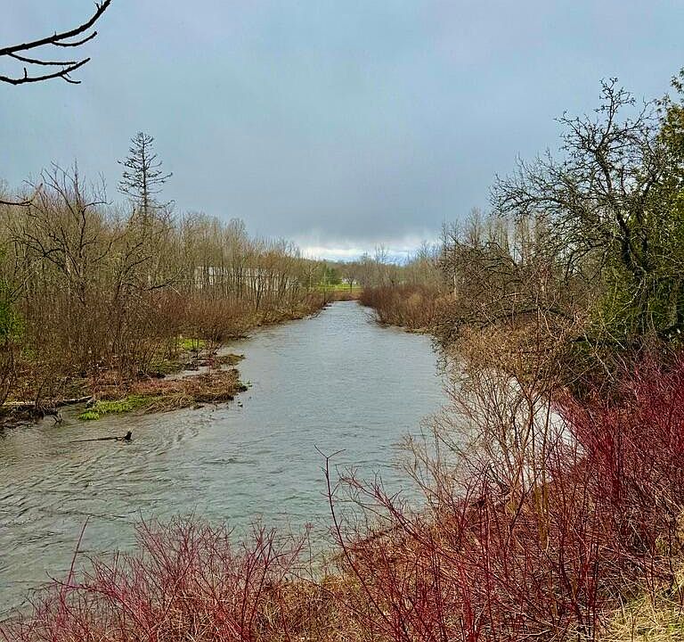 1st image of 12 Elliott Road