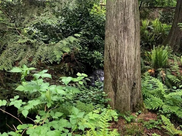 0 Quail Trail, Coupeville, WA 98239