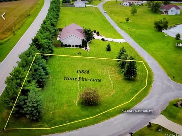 13884 White Pine Ln, Godfrey, IL 62035