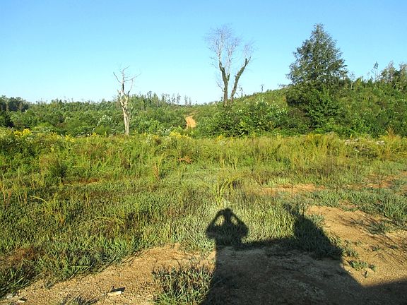 5th image of Newman Campbell Road