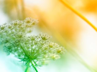 1844 E Branch Rd, Fenton, MO 63026