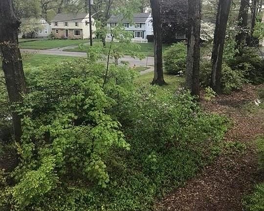 5th image of 428 Oak Knoll Ave NE