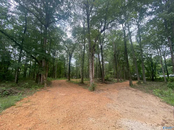 4413 E River Rd, Mentone, AL 35984