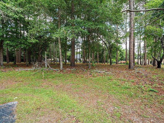 4th image of 1355 Royal Colony Drive