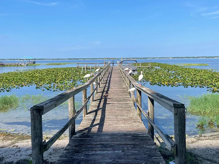 Dock