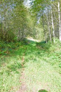 3174 NE East Line Rd, Yachats, OR, 97498