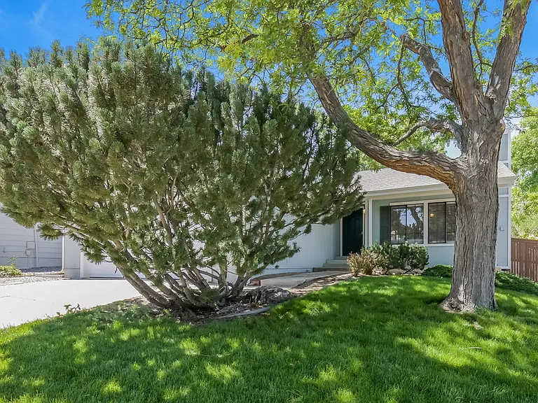 514 Timberline Pl — Photo 1