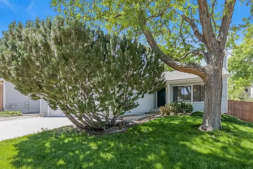 514 Timberline Pl Photo 1