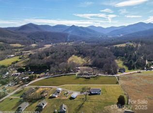 99999 Whataview Dr, Candler, NC 28715