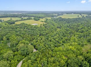 000 W Old Limey Road, Brookline, MO 65619