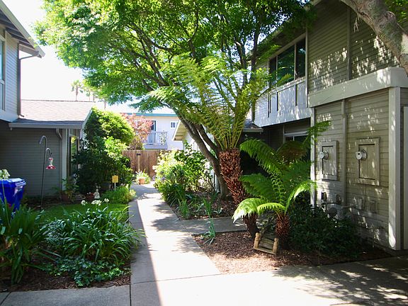 3rd image of 215 Loma Verde Dr