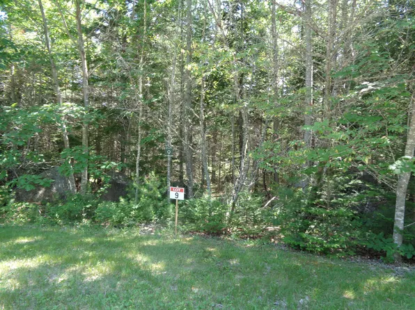 Lot 9 Bailey Mountain Road, Franklin, ME 04634