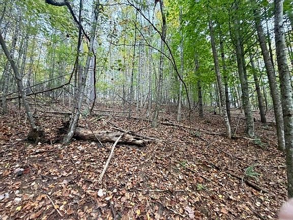 4th image of TBD E Weaver Ford Road