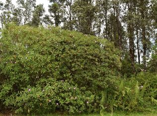 Jewel Dr LOT 45, Pahoa, HI 96778