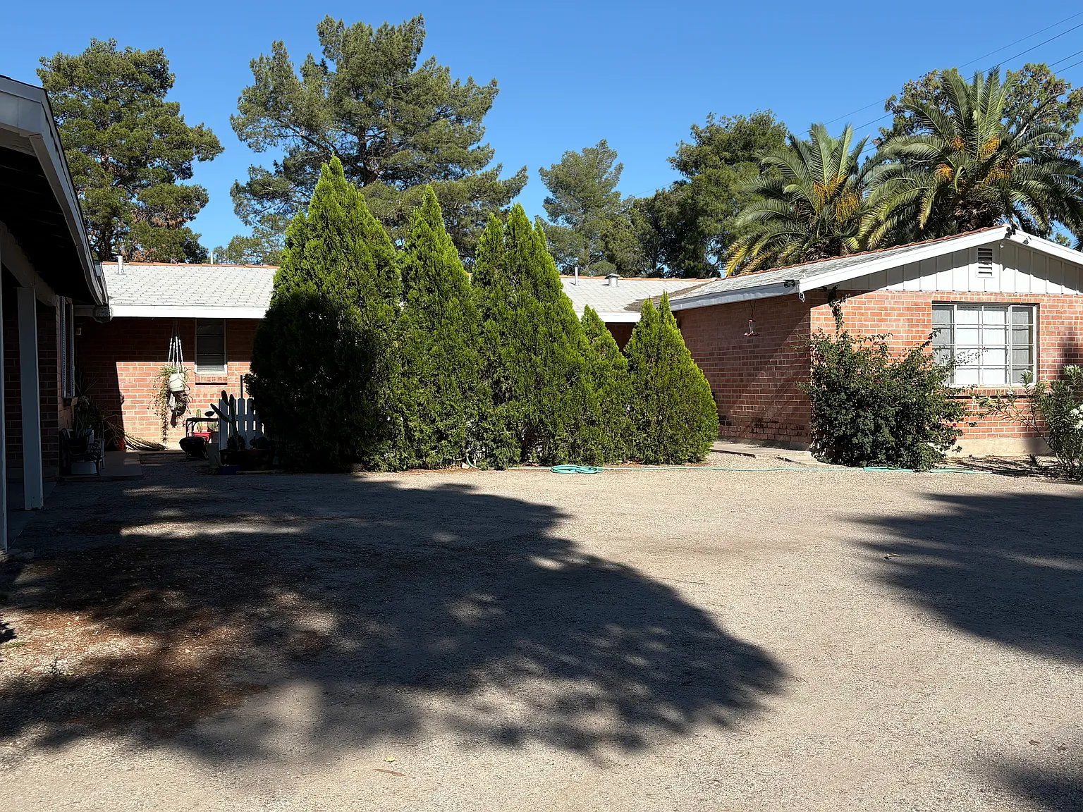 1 bed, $999 — Photo 2