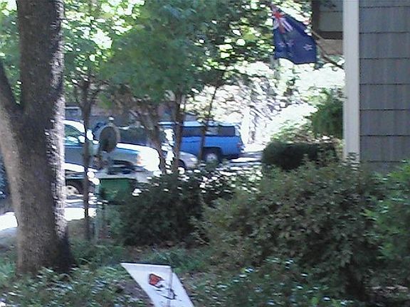 View from Front door