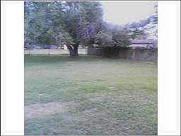 4th image of 3609 California Ave