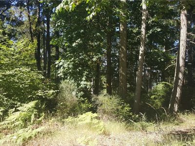 12314 Cole Point Dr, Anderson Island, WA, 98303