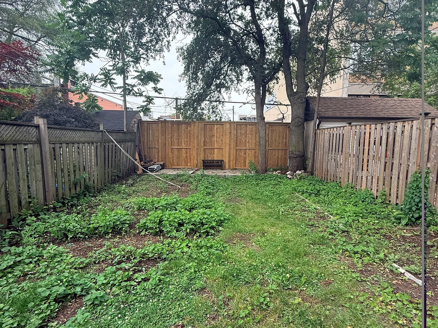 2 bed, $3,500 — Photo 2