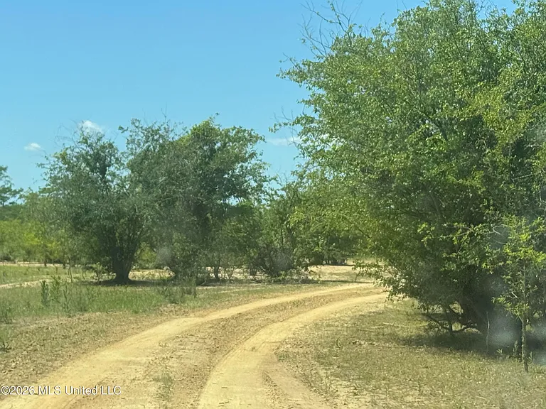 21 County Road 187 — Photo 47