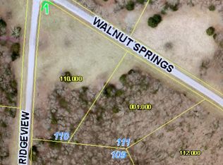 111 N Walnut Springs Dr, Cape Fair, MO 65624