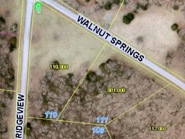 Lot 111 N Walnut Springs Drive, Cape Fair, MO 65624