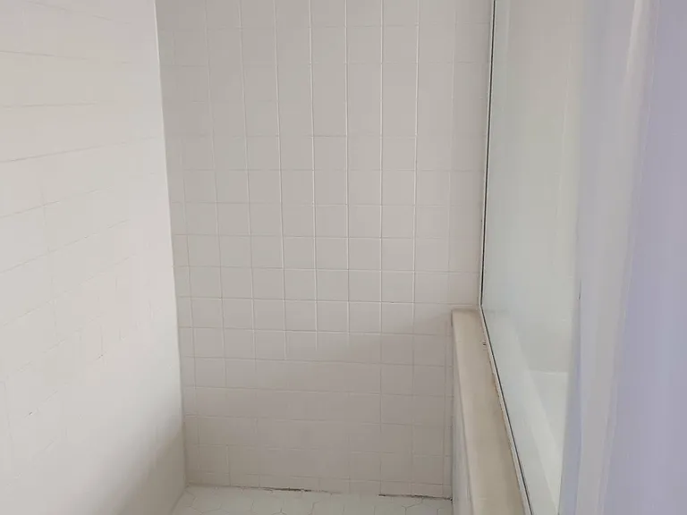 Walking shower (in master bathroom)