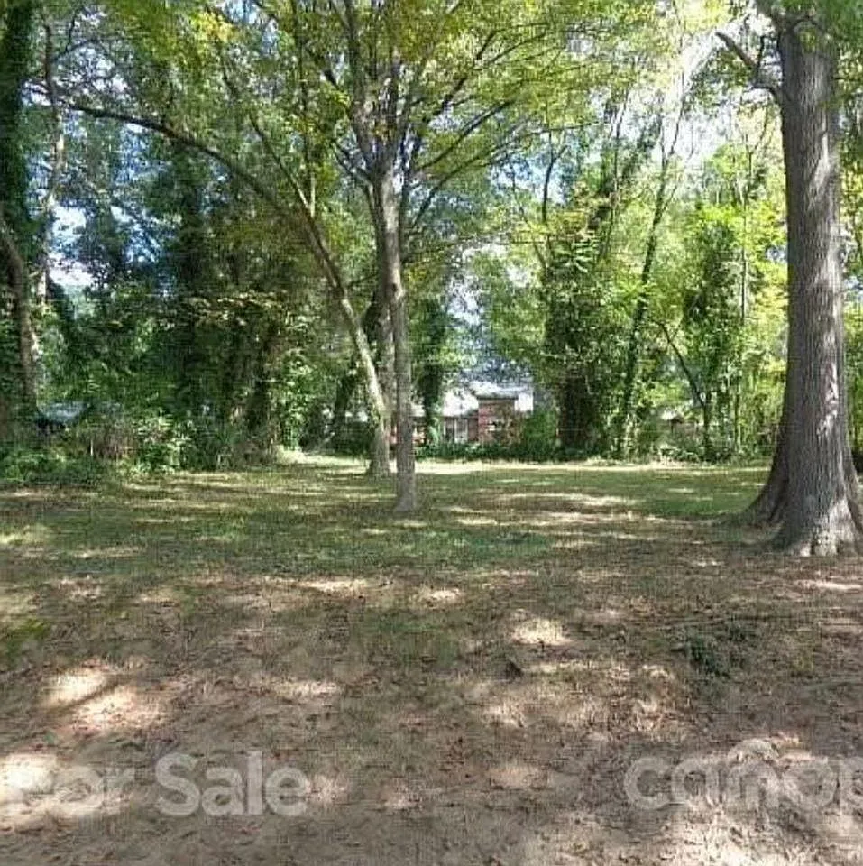 2 bed, 854 sqft, $1,450 — Photo 3