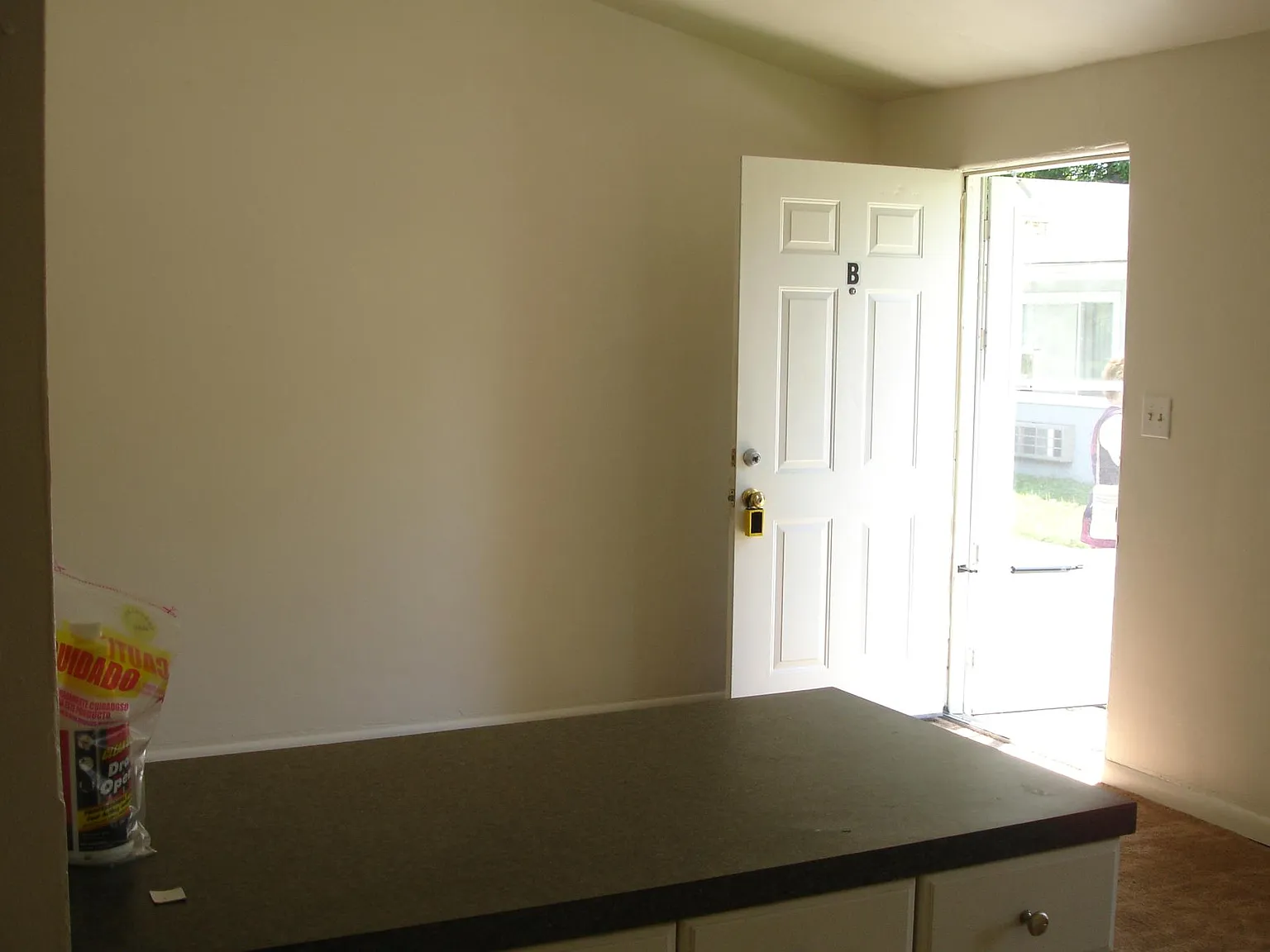 1 bed, 528 sqft, $825 — Photo 3
