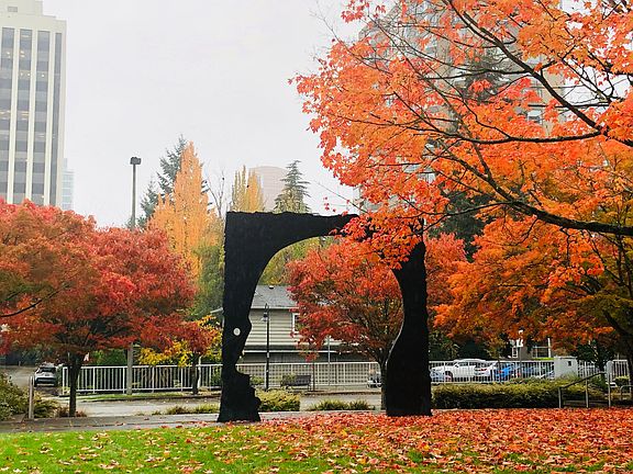 Bellevue downtown library