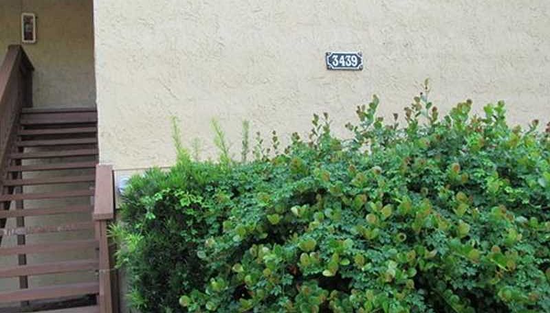 1st image of 3439 Clark Rd APT 239