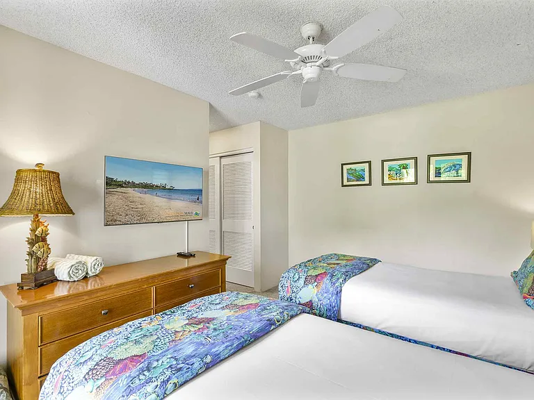 Wailea Ekolu Pl — Photo 36