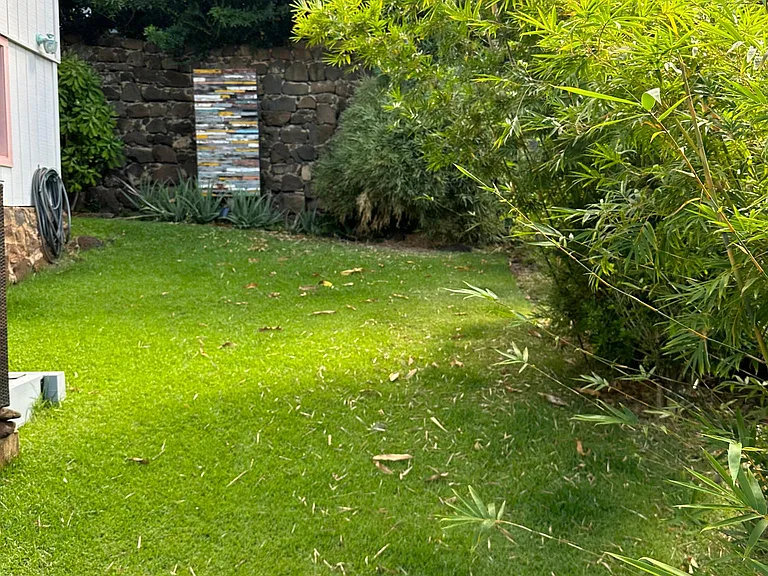 back yard