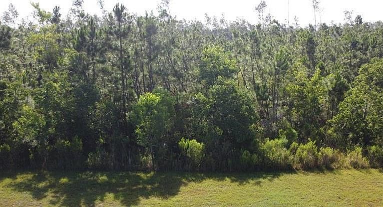 1st image of 817 Wide Water Cir