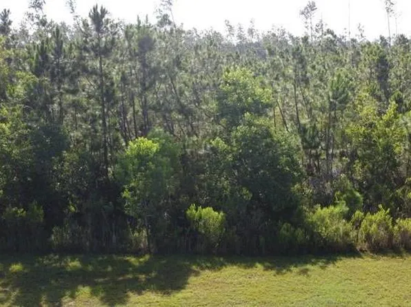 817 Wide Water Cir, Wewahitchka, FL 32465