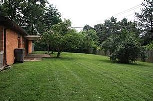 Yard. Plenty of room for a garden, swing set and trampoline!!