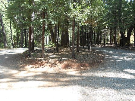 2nd image of 11537 Lower Pine Hill Dr