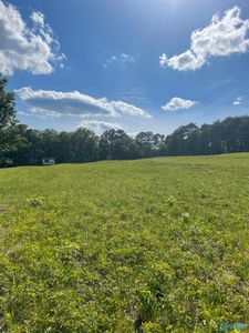 1779 County Road 822, Collinsville, AL, 35961