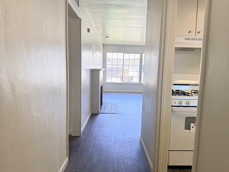 223 E Robinson Ave — Photo 7