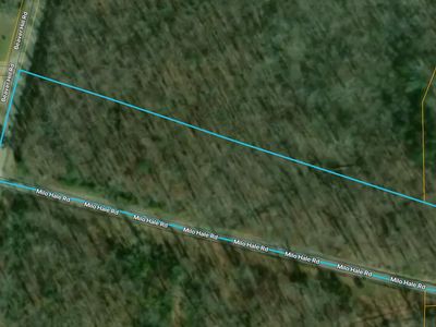 4447 Beaver Hill Rd, Pikeville, TN, 37367