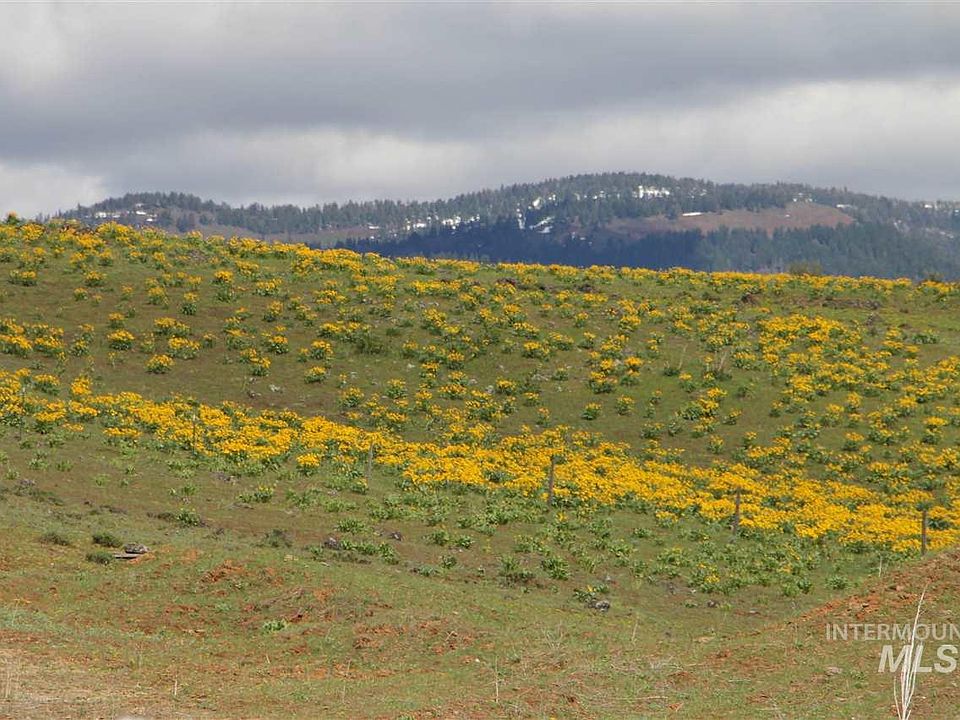 2nd image of Coyote Run 40 Acres